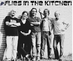 Flies in the Kitchen - Ashes of Love